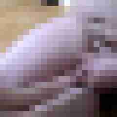 picturefreak