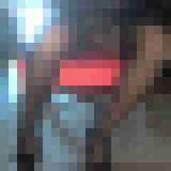 fsh-nylon-dwt