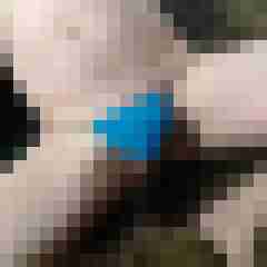 fabrixx19