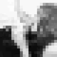 Phorus