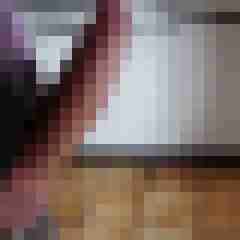 noctolus