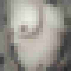Eule_41
