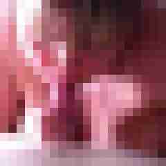 hhsucherhh
