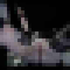 picturefreak