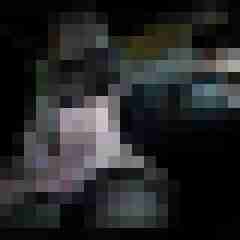 picturefreak