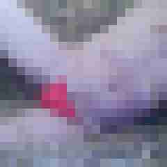 fabrixx19