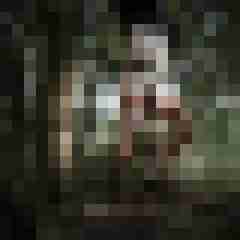 doline
