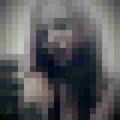 Eule_41