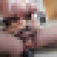 DomSub82