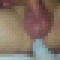 maxe_dwt