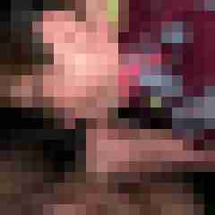 Bbw-Stute