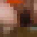 satiner
