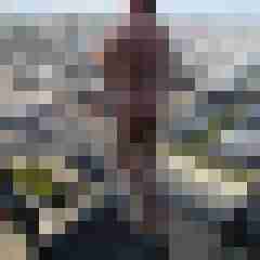 TomGriep