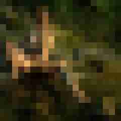 Phorus