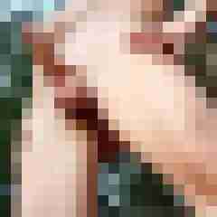 enno689