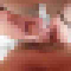 wolf_1b