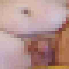 ingo123