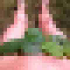 ruttish
