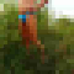 Chiller74