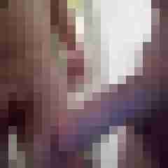 Sportler72