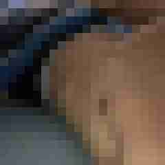 Sebastian69xxx