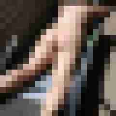 NRWPAAR02