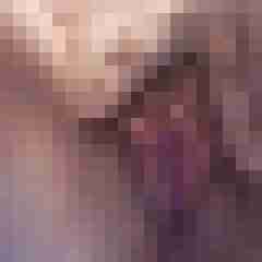 Spitz123