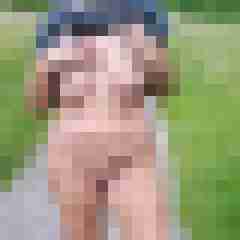 swing