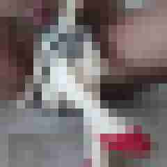 Infiggo