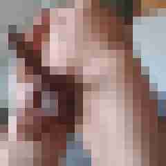 latino67