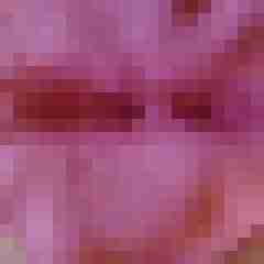 xxliebhaber