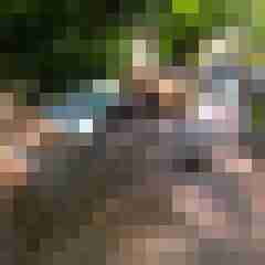 ruttish