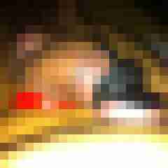 ruttish