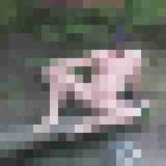 nylonjunge