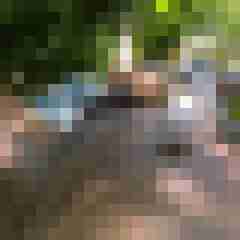 ruttish