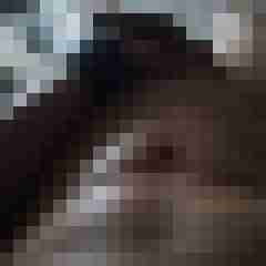 Steffen3333