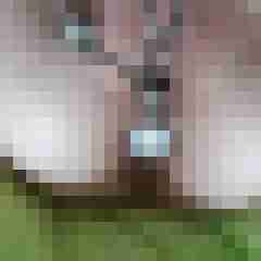 sharingpaar06