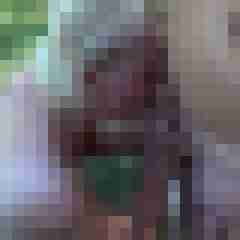 picturefreak