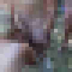 picturefreak