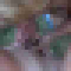 picturefreak