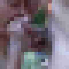 picturefreak