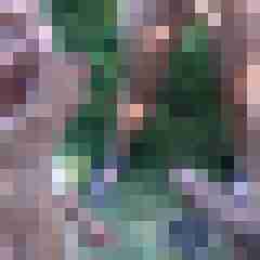 picturefreak