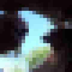 picturefreak