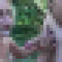 picturefreak