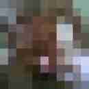 suchesexaffairen