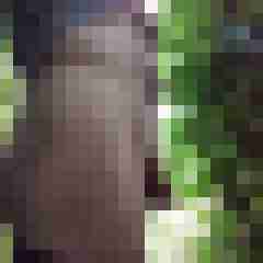 hamue6