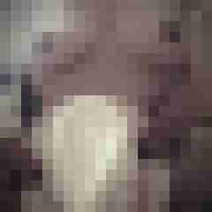 Eule_41