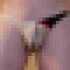 Alf-Bi