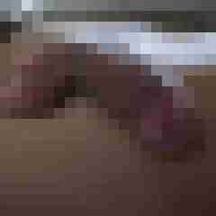 Altius
