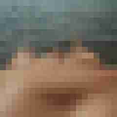 ruttish